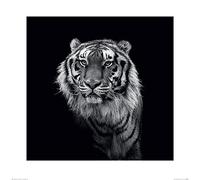 Marina Cano (Into The Dark III 60 x 60 cm Toile Imprimée