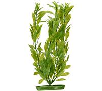 Marina Décoration pour Aquarium Hygrophila 30 cm