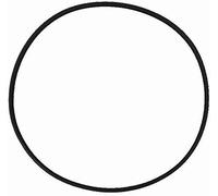 Marine Color Gummidichtung für Sunsun HW3000 Filter - Ersatzteil für Kartuschenfilter, Sicherer Wasserabschluss