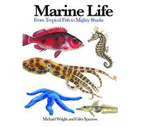 Marine Life: From Tropical Fish to Mighty Sharks