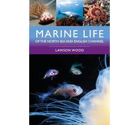 Marine Life of the North Sea and English Channel