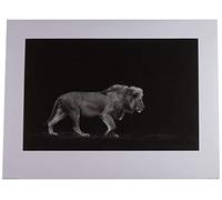 Mario Moreno (Majestic 60 x 80 cm Toile Imprimée