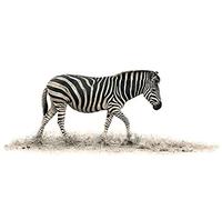 Mario Moreno (The Zebra 60 x 80 cm Toile Imprimée