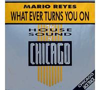 Mario Reyes - What ever turns you on (Club/Radio/House/Dub) / Vinyl Maxi Single [Vinyl 12'']