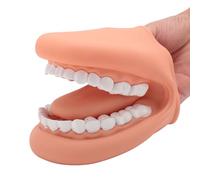 Marionnette à main avec langue, marionnette en silicone souple pour enfants, 28 dents, modèle de bouche, jouet de parole, simulation et enseignement