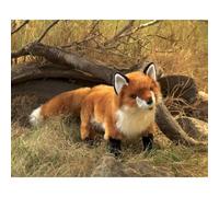 Marionnette et théâtre - FOLKMANIS - Red Fox