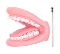 Marionnettes À Main pour - Conception De Modèles Dentaires en PVC | Jouet Pédagogique À Bouche Mobile | Aide À L'apprentissage, Outil De Formation Aux Soins Dentaires, Outil De Pratique pour L