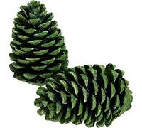 Maritima Pomme de pin vert givré 10-16cm 12 pcs - Décoration Noël, Décoration naturelle
