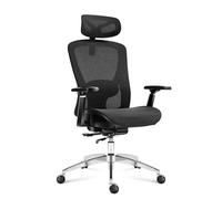 MARK ADLER Expert 5.3 Fauteuil Ergonomique | Dossier Respirant | Support Lombaire réglable | Siège Confortable | Design Moderne | Idéal pour Bureau, Maison ou espaces de Travail intensif | Noir