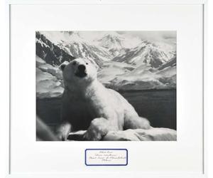 Mark Dion: Theatre of the Natural World /anglais