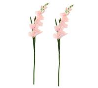 Mark Geslison - For the Beauty of the Earth (UK Import)