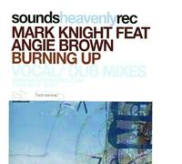 Mark Knight Feat Angie Brown - Mark Knight Feat Angie Brown - Burning Up - [12"]