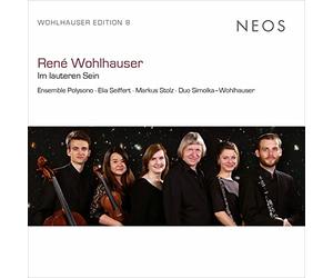 Markus Stolz - Wohlhauser: Im Lauteren Sein