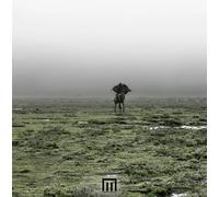Markus Wormstorm - Markus Wormstorm-Figure in Field LP [Import]
