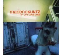 Marlene Kuntz - Che Cosa Vedi