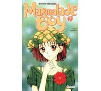 Marmalade Boy - Tome 07 Wataru Yoshizumi (Auteur)