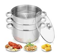 Marmite à Vapeur en Acier Inoxydable, Cuiseur Vapeur, Casserole (3 en 1), Diamètre 26 cm, avec Couvercle en Verre, Cuiseur Vapeur pour Tous Types de Cuisinières, y Compris à Induction, Argent