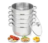Marmite à Vapeur en Acier Inoxydable, Cuiseur Vapeur, Casserole (5 en 1), Diamètre 26 cm, avec Couvercle en Verre, Cuiseur Vapeur pour Tous Types de Cuisinières, y Compris à Induction, Argent