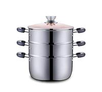 Marmite, marmite, marmite, cuiseur Vapeur, Acier Inoxydable 304, cuiseur Vapeur/marmite à Soupe à 3 Couches, épaissie 20/Compatible avec cuisinière à Induction et cuisinière à gaz