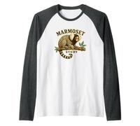 Marmoset Study Ouistiti Commun Histoire Naturelle Manche Raglan