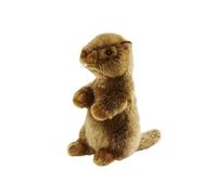 Marmotte 25cm