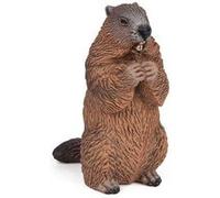 LA VIE SAUVAGE Marmotte