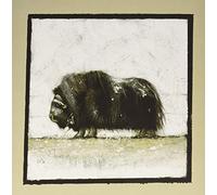 Maroccolo Gianni - Alone Volume 1