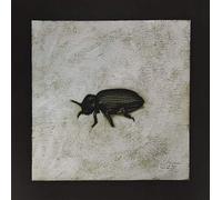 Maroccolo Gianni - Alone Volume 4