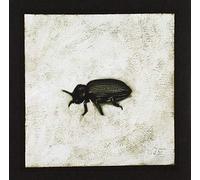 Maroccolo Gianni - Alone Volume 4 [Import]