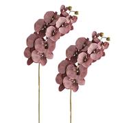 Marooma 2 PCS Branches de Fleurs Phalaenopsis Artificielles, Orchidées Réelles Fleurs de Soie, 37,4 Pouces Fausses Tiges D'orchidées pour Le Bureau à Domicile (D)