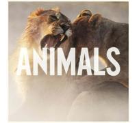 MAROON 5 - ANIMALS (2-TRACK) CD SINGLE NEUF