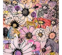 Maroon 5 - Jordy [Import]