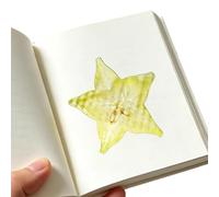 Marque-page Acrylique Tranche de Fruit - Marque-pages Translucides Design Fruit | Signets Mignons - pour Adultes Écoles Bibliothèques Célébrations Remises de Diplômes Anniversaires Fêtes