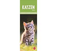 Marque-page et calendrier 2023 - Adorables chatons dans un mini calendrier - Parfait comme petite attention à Noël - Cadeau idéal pour les fans de chats et les vers de bibliothèque