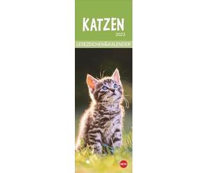 Marque-page et calendrier 2023 - Adorables chatons dans un mini calendrier - Parfait comme petite attention à Noël - Cadeau idéal pour les fans de chats et les vers de bibliothèque