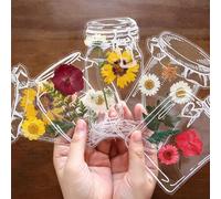 Marque-page Fleurs Séchées - 20 Pièces, Kit De Marque-pages | Fournitures De Scrapbooking Transparentes - Conception Durable En Matériau PP - Pour Le Plaisir Des Cadeaux D'art Et D'artisanat Des Lecte