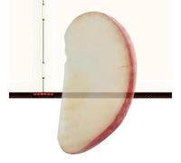 Marque-pages en acrylique transparent - Impression haute définition, insert de livre de 80 mm de diamètre, séparateur de page esthétique amusant, feuille de résine résistante aux chocs | Favoris pour