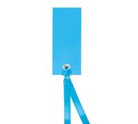 Marque place avec ruban - Sachet de 12 - Turquoise