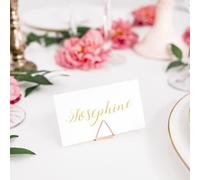 Marque places rose gold - triangle x10