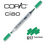 Marqueur À L'alcool Copic Ciao G17 Forest Green