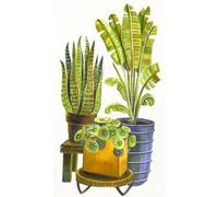 COPIC Ciao LAYER & MIX Starter Set « Botanic », Set de marqueurs avec 3 couleurs, papier marqueur et modèle de dessin à copier, incl. Fiche d'exercices de prise en main