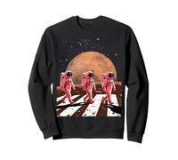 Mars Moon Phobos Galaxie Science Geek Espace Sweatshirt
