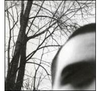 Marshes - Recluse