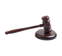 Marteau de juge,Accessoires de juge ergonomiques en bois 24,9 cm | Ensemble de marteau Loi et Ordre avec son - pour Réunions de Tribunal Procès Simulés Avocats Salle des Ventes Commissaires-Priseurs