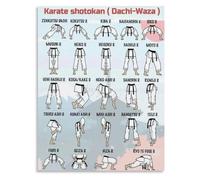 Martial Arts Stances Reference Poster Karate Techniques Canvas Wall-Art