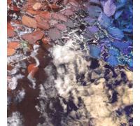 Martin Archer / Herve Perez - Inclusion Principle-The Leaf Factory fallback [Import]