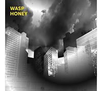 Martin Archer, John Jasnoch, Sarah Farmer & Lee Boyd Allatson - Wasp Honey [Import]