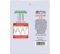 Martin Authentic Lifespan 2.0 92/8 Phosphor Bronze Extra Light