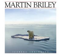 Martin Briley - Martin Briley: Iceberg Shrinking