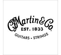 MARTIN corde acoustique SP acier plein .011 (M11HTT)